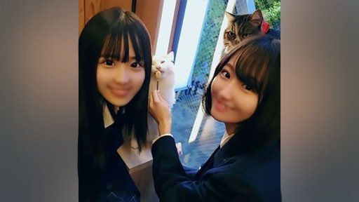 Thumbnail for FC2PPV-2477518 正統派美少女の女子生徒2人を密室に連れ込み猥褻淫行・・・発展途上の純白な身体に3P生中出し！