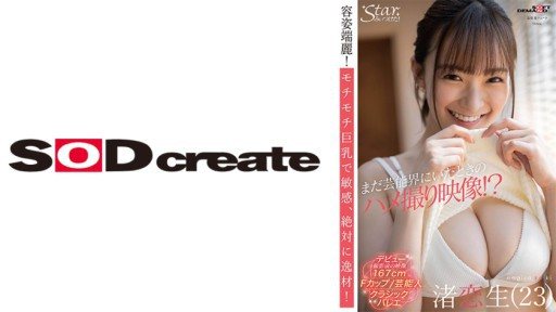 Thumbnail for 107STZY-008 まだ芸能界にいたときのハメ撮り映像！？ 渚恋生(23)