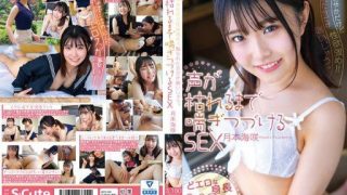 Thumbnail for SQTE-522 Ladylike but with strong sexual desire! ! I pant as much as you touch me. Sex that keeps panting until the voice dies Misaki Tsukimoto