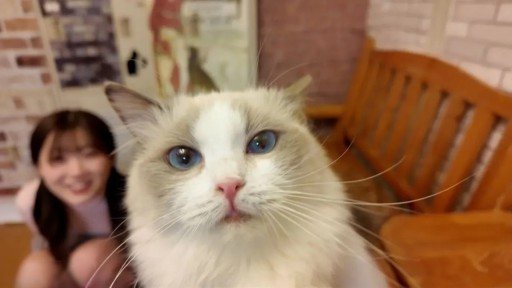 Thumbnail for FC2PPV-4511406 Too cute! Super rare! She was crazy about the cats on a date at a cat cafe. "So cute..." After the date, she was crazy about my dick too. It's a secret between the t