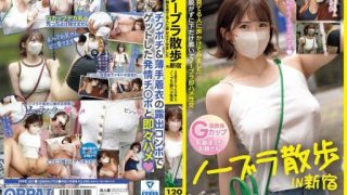 Thumbnail for PPPE-287 ノーブラ散歩IN新宿 胸を見てる人に声かけてみました上は脱がずに下だけ脱いでノーブラ即ハメ性交