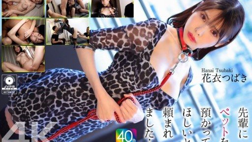 Thumbnail for CRNX-254 My senior asked me to take care of his pet... Hanagoromo Tsubaki